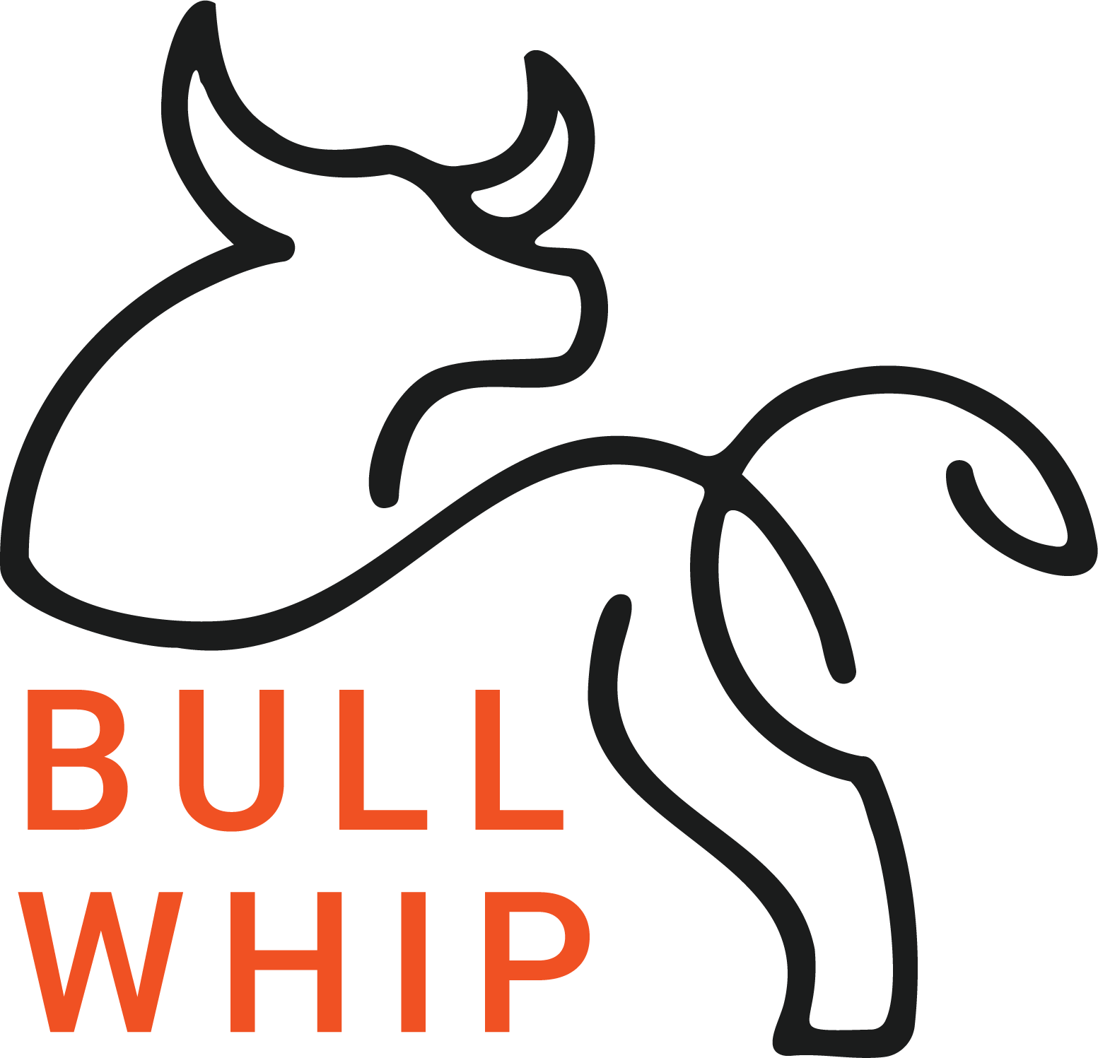 Bullwhip