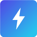 Carrier Ledger
