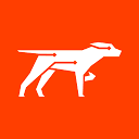 Scout Monitoring