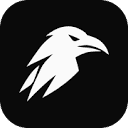 VibeRaven Guides