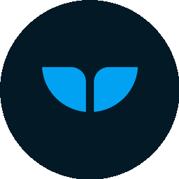 Whalesync icon